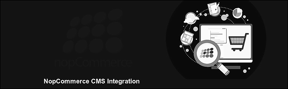 NopCommerce CMS Integration Services